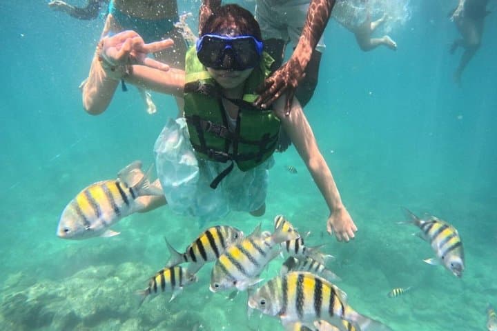 Experiencia de Shekina Tours en Cartagena
